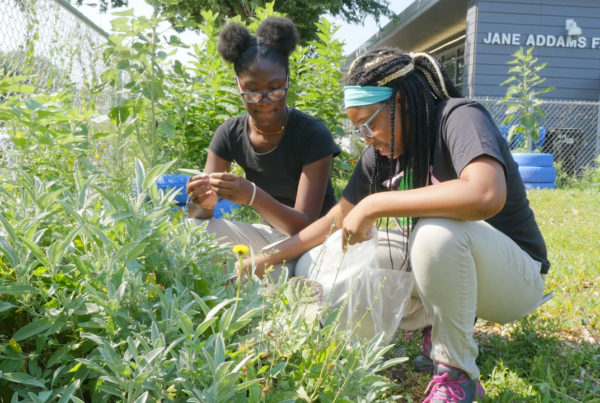 Urban Farming Chicago